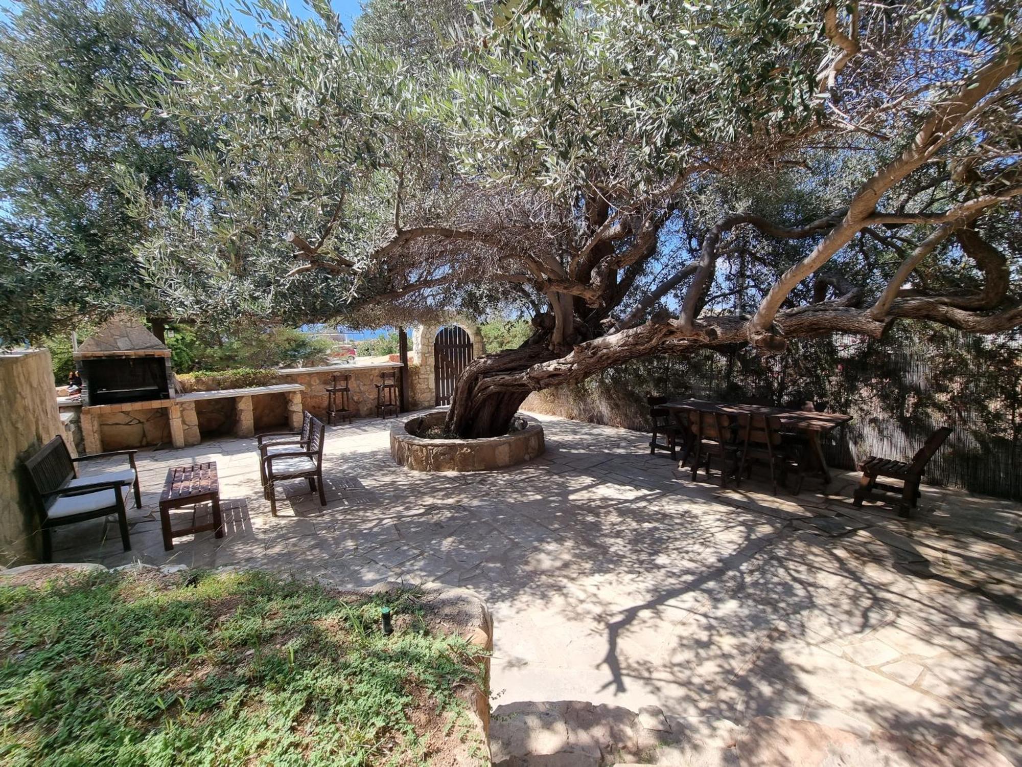 Olive Beach Villa Пея Екстериор снимка