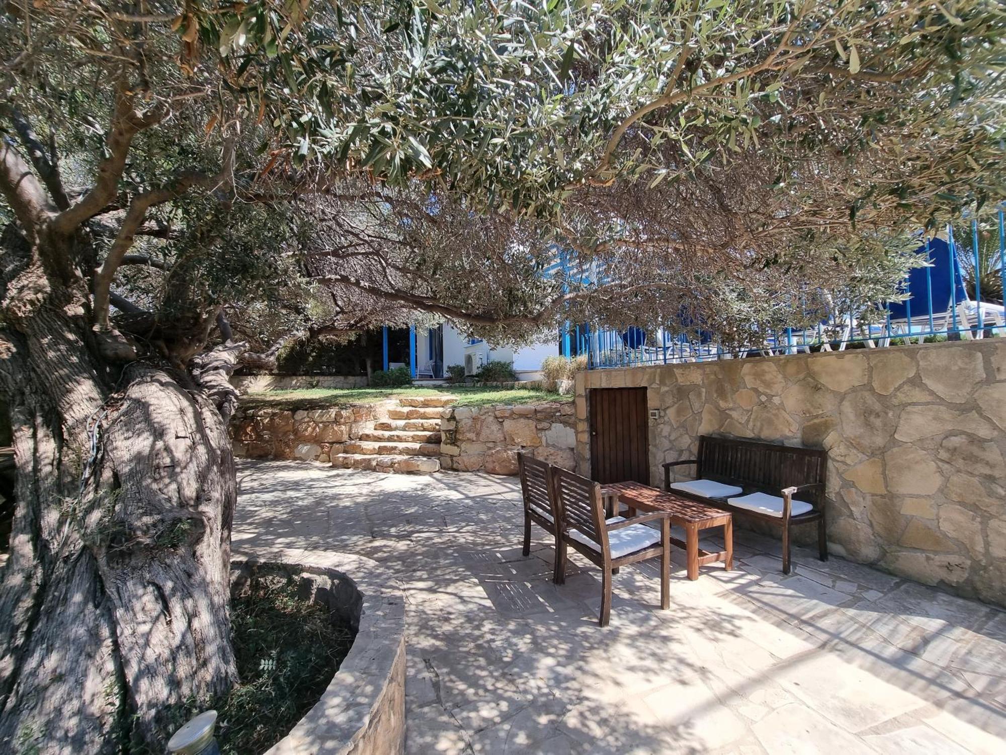 Olive Beach Villa Пея Екстериор снимка